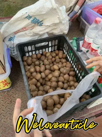 野生猕猴桃购买地在大别山旅游公路一号路边夏末上市超级酸，但是很好吃，这个真的比大的好吃多了，而且价格差不多，一次买多点可以等软了以后打成汁，干了！