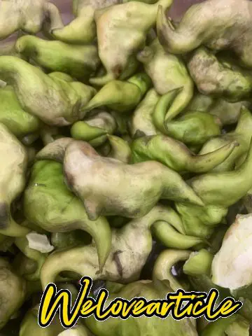 菱角购买地在市区路边摊，整个夏季都有，脆爽，清香，5块一斤，10块吃饱