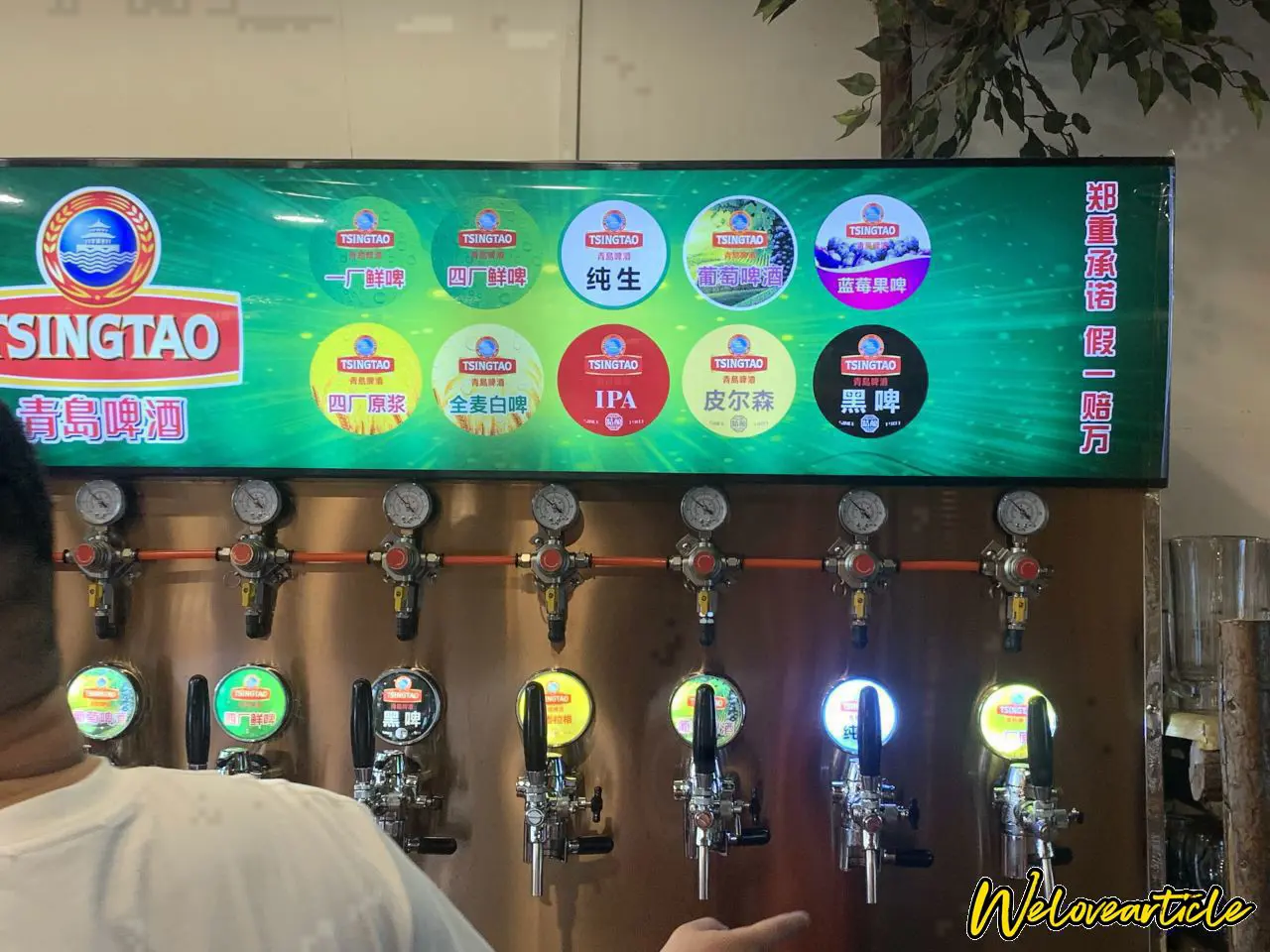 青岛啤酒