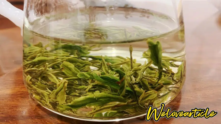 信阳毛尖光山净居寺茶厂茶叶2