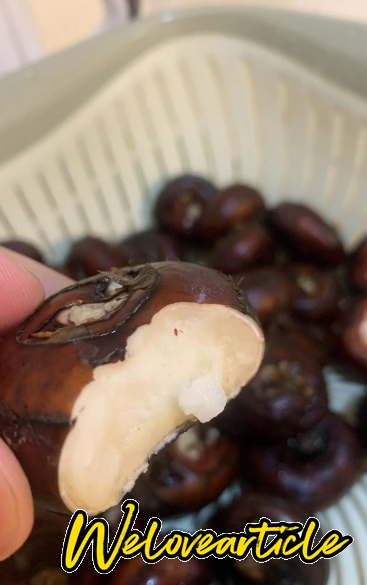 马蹄(荸荠)夏天街边摊随处可见，冬天只有超市有