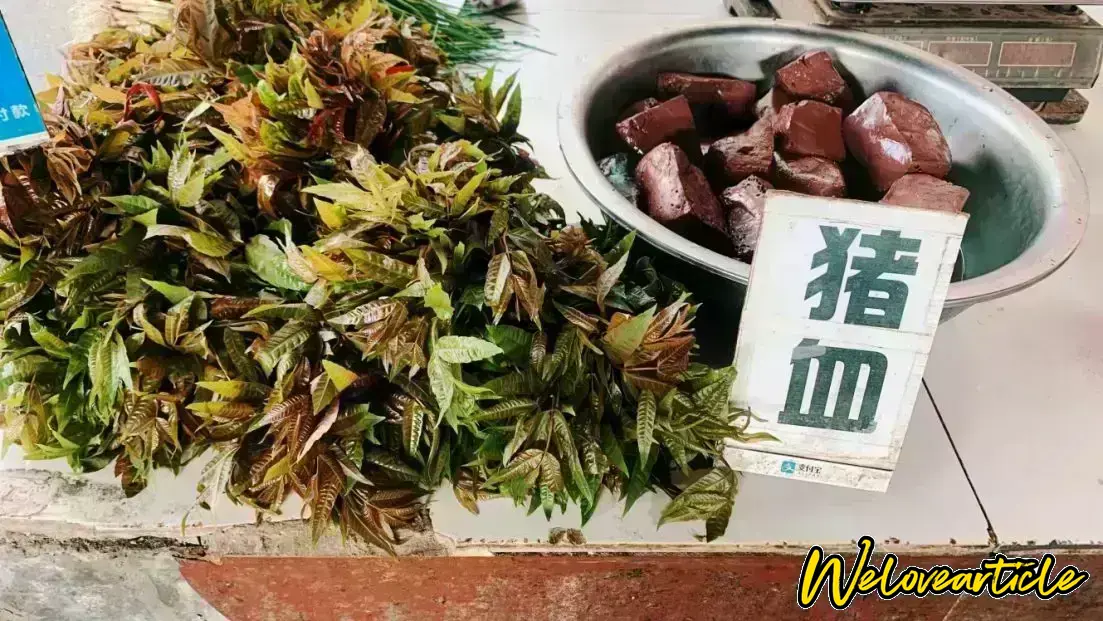 香椿和新鲜的猪血