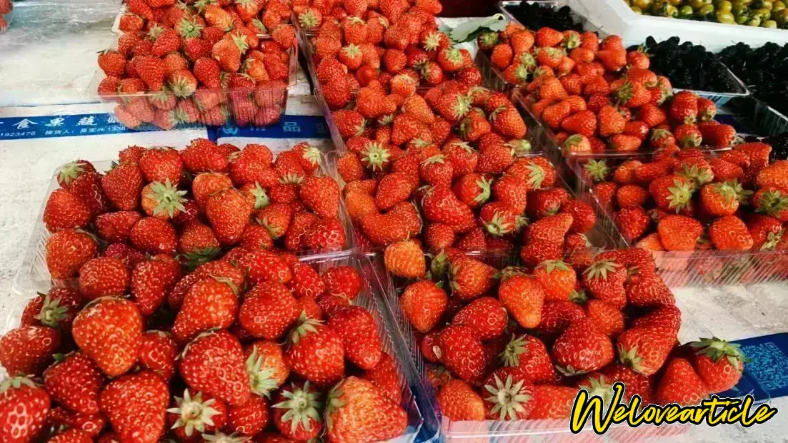 十三里桥草莓真好吃，个头小，酸中带甜，不是大草莓,附加一条新闻：信阳一地被授予中国草莓之乡3月18日至20日，由河南省草莓协会、中国农业科学院郑州果树研究所、信阳农林学院、河南日报农村版联合主办的第五届河南省草莓大会暨信阳农林学院园艺文化节成功举办。在3月19日的活动开幕式上，信阳市狮河区十三里桥乡被授予“中国草莓之乡”称号。据悉在当天的开幕式上，师河区十三里桥乡草莓产业园还获得河南省草莓协会颁发的“河南省百县草莓标准示范园”称号。(大河报·豫视频)