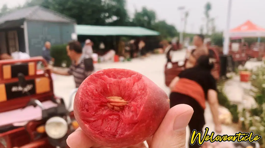 观音脸桃子吃一口