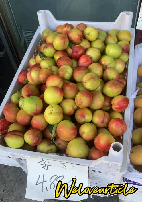 本地李子，很酸爽